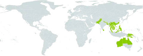 Ichnocarpus frutescens world distribution map, present in Australia, Bangladesh, Bhutan, China, Indonesia, India, Cambodia, Lao People's Democratic Republic, Sri Lanka, Myanmar, Malaysia, Nepal, Pakistan, Philippines, Papua New Guinea, Thailand, and Viet Nam