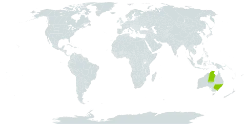 Ileostylus world distribution map, present in Australia