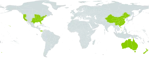 Ilex world distribution map, present in Australia, China, New Zealand, Panama, and United States of America