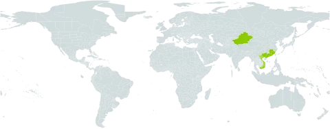 Ilex memecylifolia world distribution map, present in China and Viet Nam