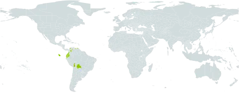 Ilex myricoides world distribution map, present in Bolivia (Plurinational State of), Colombia, Ecuador, and Venezuela (Bolivarian Republic of)