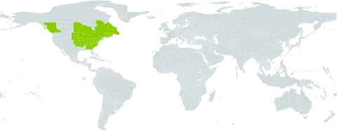 Impatiens pallida world distribution map, present in Canada and United States of America