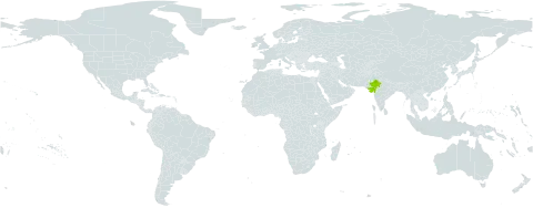 Indigofera coerulea var. monosperma world distribution map, present in India