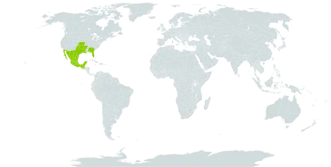 Indigofera miniata world distribution map, present in Bonaire, Sint Eustatius and Saba, Guatemala, Mexico, and United States of America