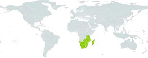 Indigofera praticola world distribution map, present in Botswana, Madagascar, Mozambique, Malawi, Namibia, Tanzania, United Republic of, South Africa, Zambia, and Zimbabwe