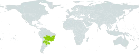 Ipomoea bonariensis world distribution map, present in Argentina, Bolivia (Plurinational State of), Brazil, Paraguay, and Uruguay