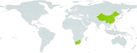 Ipomoea cairica var. cairica world distribution map, present in China and South Africa