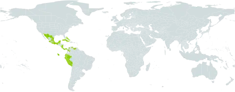 Ipomoea carnea subsp. carnea world distribution map, present in Bonaire, Sint Eustatius and Saba, Bahamas, Belize, Colombia, Costa Rica, Cuba, Ecuador, Guadeloupe, Jamaica, Saint Lucia, Mexico, Nicaragua, Panama, Peru, Puerto Rico, Trinidad and Tobago, and Venezuela (Bolivarian Republic of)