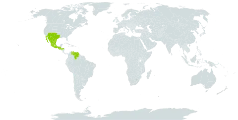 Ipomoea costellata world distribution map, present in Guatemala, Honduras, Mexico, United States of America, and Venezuela (Bolivarian Republic of)