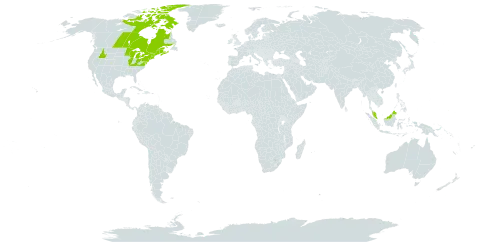 Iris versicolor world distribution map, present in Canada, France, Micronesia (Federated States of), Malaysia, and United States of America