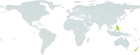 Isolepis habra world distribution map, present in New Zealand and Philippines