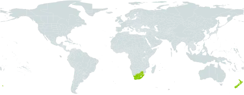 Isolepis levynsiana world distribution map, present in New Zealand and South Africa