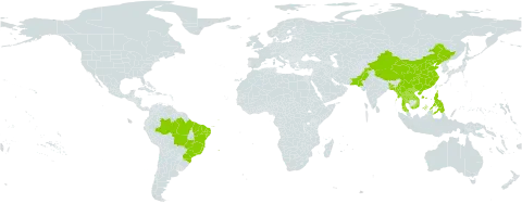 Ixora chinensis world distribution map, present in Bangladesh, Brazil, China, Lao People's Democratic Republic, Myanmar, Pakistan, Philippines, Thailand, and Viet Nam