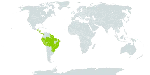 Jacaratia spinosa world distribution map, present in Argentina, Bolivia (Plurinational State of), Brazil, Colombia, Costa Rica, Ecuador, Guatemala, French Guiana, Guyana, Nicaragua, Panama, Peru, Paraguay, and Suriname