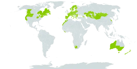 Jacobaea vulgaris subsp. vulgaris world distribution map, present in Albania, Andorra, Armenia, Australia, Austria, Belgium, Bulgaria, Bosnia and Herzegovina, Belarus, Canada, Switzerland, China, Czech Republic, Germany, Denmark, Spain, Estonia, Finland, France, United Kingdom of Great Britain and Northern Ireland, Georgia, Gibraltar, Greece, Croatia, Hungary, Italy, Kazakhstan, Kyrgyzstan, Liberia, Liechtenstein, Lithuania, Luxembourg, Latvia, Morocco, Moldova (Republic of), North Macedonia, Montenegro, Mongolia, Netherlands, Norway, New Zealand, Poland, Portugal, Romania, Russian Federation, Saint Pierre and Miquelon, Serbia, Slovakia, Slovenia, Sweden, Tajikistan, Ukraine, United States of America, Uzbekistan, and South Africa