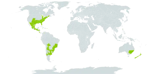Juncus dichotomus world distribution map, present in Argentina, Australia, Bolivia (Plurinational State of), Brazil, Chile, Costa Rica, Guatemala, Honduras, Jamaica, Mexico, New Zealand, Puerto Rico, Paraguay, El Salvador, Uruguay, United States of America, and Venezuela (Bolivarian Republic of)