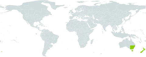 Juncus filicaulis world distribution map, present in Australia and New Zealand