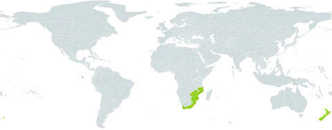 Juncus lomatophyllus world distribution map, present in Lesotho, Mozambique, New Zealand, eSwatini, South Africa, and Zimbabwe