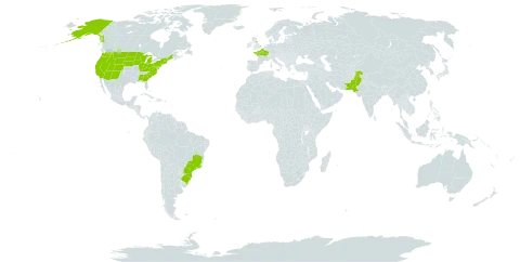 Juniperus communis world distribution map, present in Brazil, France, United Kingdom of Great Britain and Northern Ireland, Pakistan, and United States of America