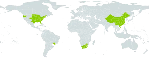 Juniperus virginiana world distribution map, present in Brazil, China, United States of America, and South Africa