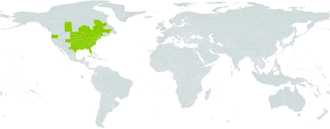 Juniperus virginiana var. virginiana world distribution map, present in Canada and United States of America