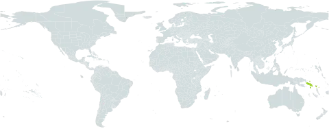 Kajewskiella world distribution map, present in Solomon Islands