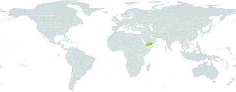 Kalanchoe deficiens var. glabra world distribution map, present in Yemen
