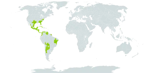 Kallstroemia maxima world distribution map, present in Anguilla, Argentina, Antigua and Barbuda, Bonaire, Sint Eustatius and Saba, Bahamas, Belize, Bolivia (Plurinational State of), Brazil, Barbados, Colombia, Costa Rica, Cuba, Cayman Islands, Dominica, Guadeloupe, Grenada, Guatemala, French Guiana, Honduras, Jamaica, Mexico, Montserrat, Martinique, Nicaragua, Panama, Puerto Rico, Paraguay, El Salvador, Trinidad and Tobago, United States of America, Saint Vincent and the Grenadines, and Venezuela (Bolivarian Republic of)