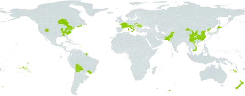 Kerria japonica world distribution map, present in Bolivia (Plurinational State of), Brazil, Canada, Switzerland, China, France, Croatia, Italy, Japan, New Zealand, Pakistan, Korea (Democratic People's Republic of), Romania, Slovakia, Slovenia, United States of America, and Viet Nam