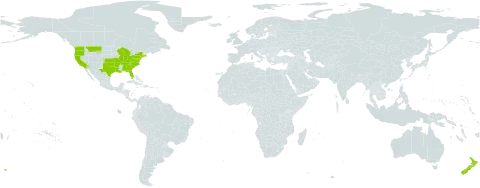 Kickxia world distribution map, present in New Zealand and United States of America