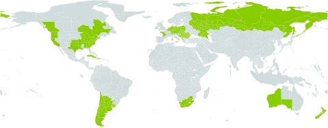 Kickxia elatine world distribution map, present in Albania, Argentina, Australia, Austria, Belgium, Bulgaria, Bosnia and Herzegovina, Canada, Switzerland, Chile, Cuba, Czech Republic, Germany, Spain, France, Haiti, Hungary, Italy, Luxembourg, Montenegro, Netherlands, New Zealand, Poland, Portugal, Réunion, Romania, Russian Federation, Serbia, Slovakia, Slovenia, Uruguay, United States of America, and South Africa