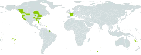 Kickxia spuria world distribution map, present in Canada, France, and United States of America