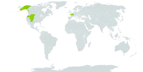 Kobresia simpliciuscula world distribution map, present in France and United States of America