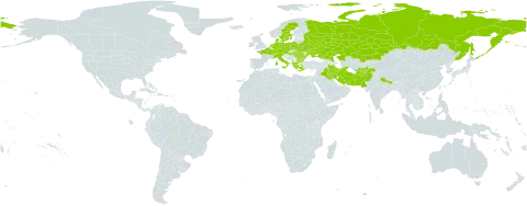 Koeleria pyramidata subsp. pyramidata world distribution map, present in Afghanistan, Albania, Austria, Bulgaria, Belarus, Switzerland, Czech Republic, Germany, Denmark, France, Greece, Hungary, Iran (Islamic Republic of), Iraq, Italy, Kazakhstan, Netherlands, Nepal, Pakistan, Poland, Romania, Russian Federation, Sweden, Turks and Caicos Islands, and Ukraine