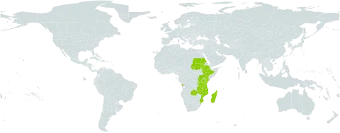 Kotschya africana world distribution map, present in Angola, Burundi, Ethiopia, Kenya, Madagascar, Mozambique, Malawi, Rwanda, Sudan, Tanzania, United Republic of, Uganda, and Zambia
