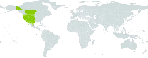 Krascheninnikovia ceratoides subsp. lanata world distribution map, present in Canada, Mexico, and United States of America