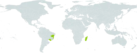 Labramia bojeri world distribution map, present in Brazil and Madagascar