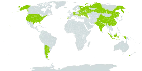Laburnum anagyroidis world distribution map, present in Argentina, Armenia, Austria, Azerbaijan, Belarus, Switzerland, China, Germany, Estonia, France, Hungary, Indonesia, India, Lithuania, Latvia, Moldova (Republic of), Mauritius, New Zealand, Pakistan, Portugal, Romania, Russian Federation, Slovakia, Tajikistan, Ukraine, and United States of America
