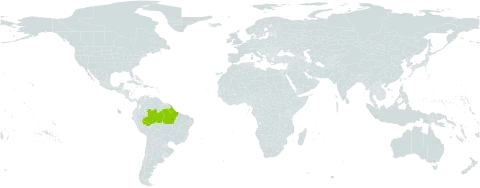 Laetia corymbulosa world distribution map, present in Brazil