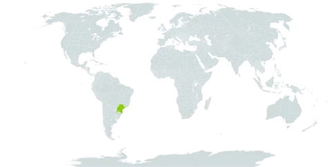 Lafoensia nummulariifolia world distribution map, present in Argentina and Brazil