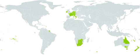 Lagarosiphon major world distribution map, present in Australia, Austria, Botswana, Switzerland, Germany, France, Ireland, Italy, Lesotho, Netherlands, New Zealand, South Africa, and Zimbabwe