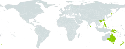 Lagenophora stipitata world distribution map, present in Australia, China, Japan, Sri Lanka, New Zealand, Philippines, Papua New Guinea, and Taiwan, Province of China