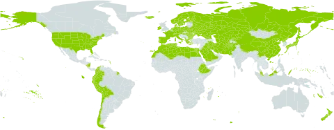 Lamium world distribution map, present in Afghanistan, Åland Islands, Albania, Austria, Bulgaria, Belarus, Bermuda, Bolivia (Plurinational State of), Switzerland, Chile, China, Colombia, Cyprus, Czech Republic, Germany, Denmark, Algeria, Ecuador, Egypt, Spain, Ethiopia, Finland, Falkland Islands (Malvinas), France, Micronesia (Federated States of), Georgia, Greece, Hungary, Ireland, Iran (Islamic Republic of), Iraq, Iceland, Italy, Japan, Kazakhstan, Kyrgyzstan, Libya, Morocco, Montenegro, Malaysia, Norfolk Island, Nicaragua, Netherlands, Norway, Nepal, New Zealand, Pakistan, Peru, Palau, Poland, Korea (Democratic People's Republic of), Portugal, Romania, Russian Federation, Saudi Arabia, Singapore, Sweden, Turks and Caicos Islands, Turkmenistan, Tunisia, Taiwan, Province of China, Ukraine, United States of America, and Uzbekistan