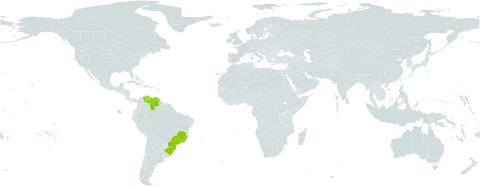 Lankesterella caespitosa world distribution map, present in Brazil and Venezuela (Bolivarian Republic of)
