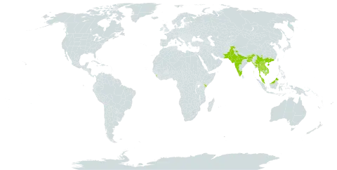 Lannea coromandelica world distribution map, present in Bangladesh, Bhutan, China, India, Kenya, Cambodia, Lao People's Democratic Republic, Sri Lanka, Myanmar, Malaysia, Nepal, Pakistan, Thailand, and Viet Nam