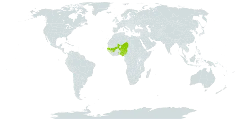 Lannea microcarpa world distribution map, present in Burkina Faso, Guinea, Gambia, Mali, Niger, Nigeria, Senegal, and Togo