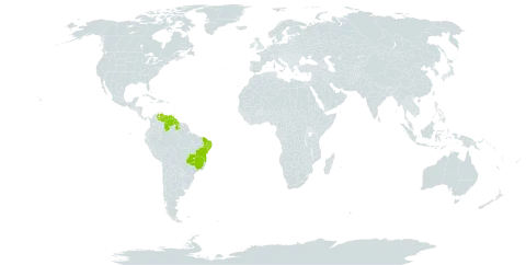 Lantana radula world distribution map, present in Brazil, Guyana, and Venezuela (Bolivarian Republic of)