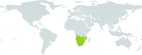 Lantana rugosa world distribution map, present in Angola, Botswana, Lesotho, Mozambique, Namibia, eSwatini, South Africa, Zambia, and Zimbabwe
