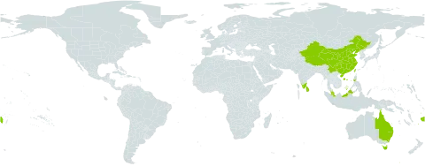 Lastreopsis tenera world distribution map, present in Australia, China, Fiji, Indonesia, India, Sri Lanka, Malaysia, Philippines, and Taiwan, Province of China