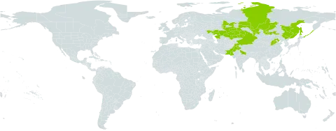 Lathyrus humilis world distribution map, present in China, India, Kazakhstan, Mongolia, Pakistan, and Russian Federation